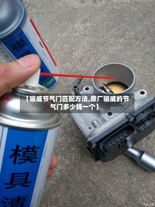 【骊威节气门匹配方法,原厂骊威的节气门多少钱一个】