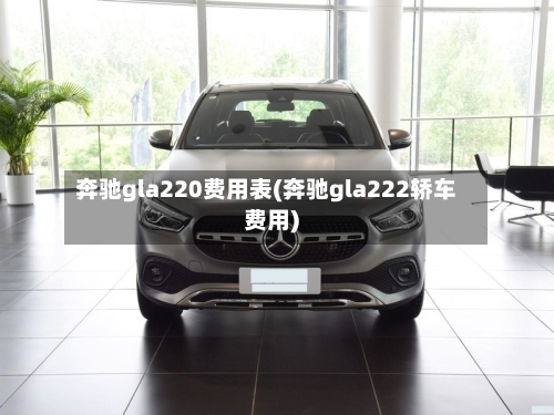 奔驰gla220费用表(奔驰gla222轿车费用)