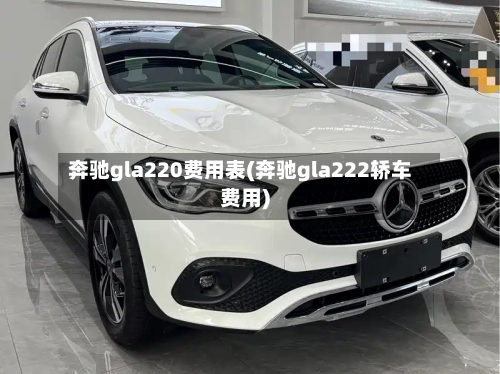 奔驰gla220费用表(奔驰gla222轿车费用)-第3张图片