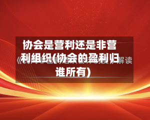 协会是营利还是非营利组织(协会的盈利归谁所有)