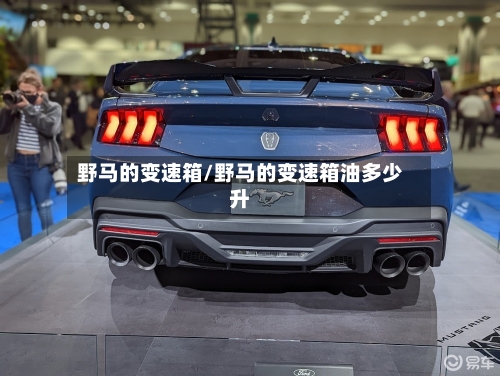野马的变速箱/野马的变速箱油多少升-第2张图片