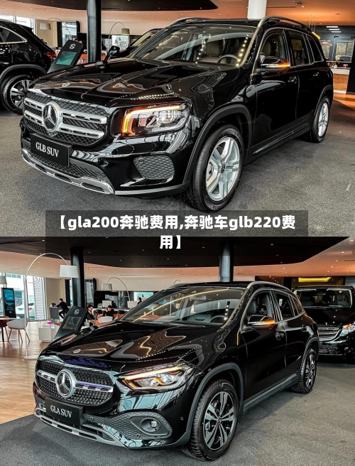 【gla200奔驰费用,奔驰车glb220费用】