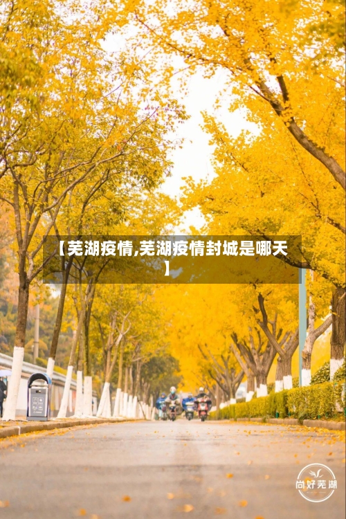 【芜湖疫情,芜湖疫情封城是哪天】-第3张图片