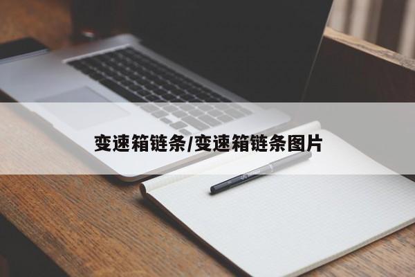 变速箱链条/变速箱链条图片