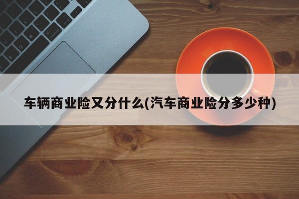 车辆商业险又分什么(汽车商业险分多少种)